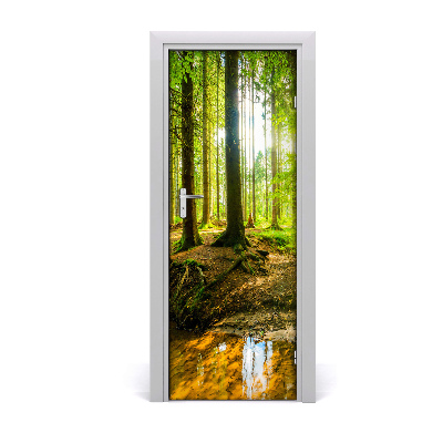 Naklejka na drzwi samoprzylepna Las w słońcu