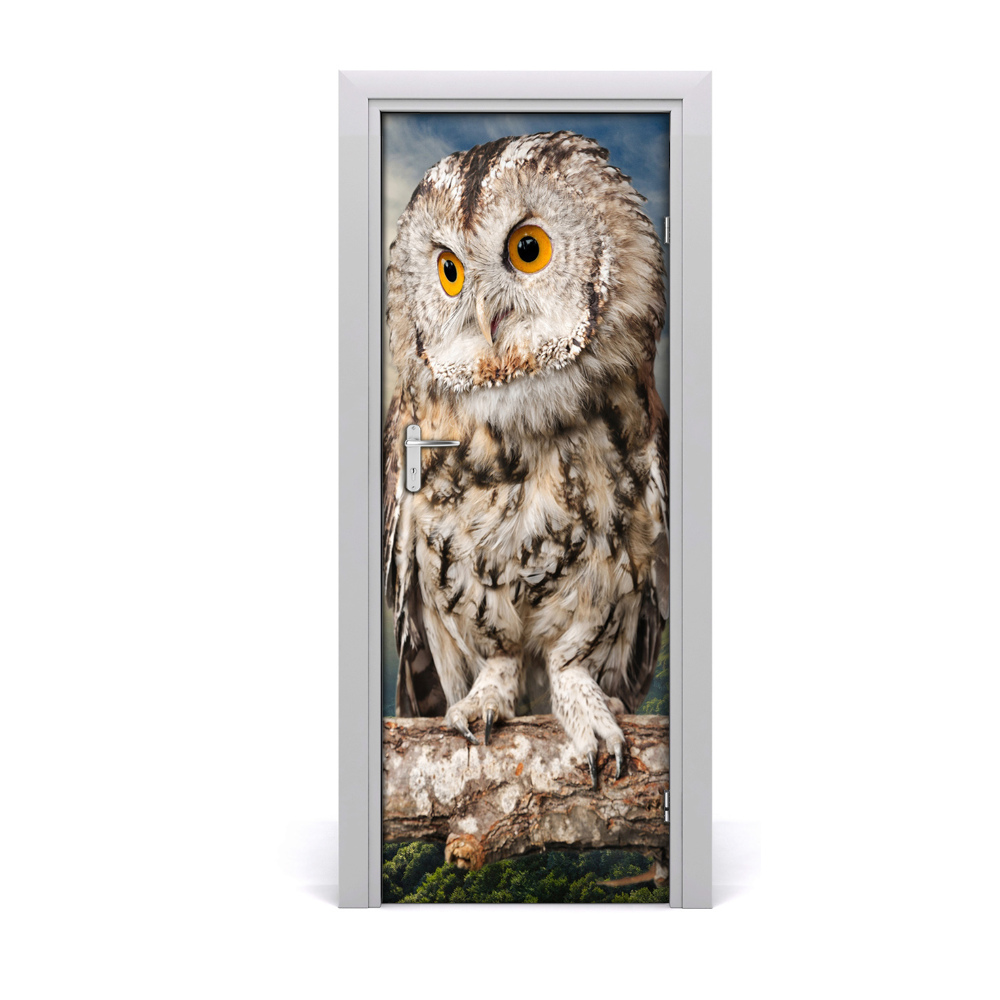 Naklejka samoprzylepna na drzwi Sowa na drzewie