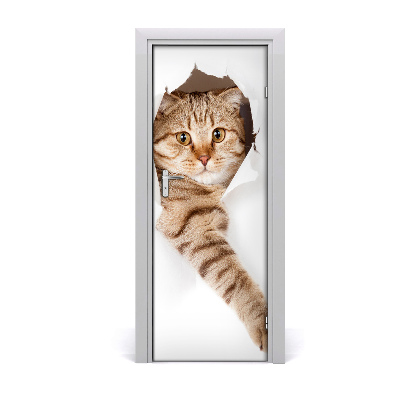 Naklejka samoprzylepna na drzwi Kot