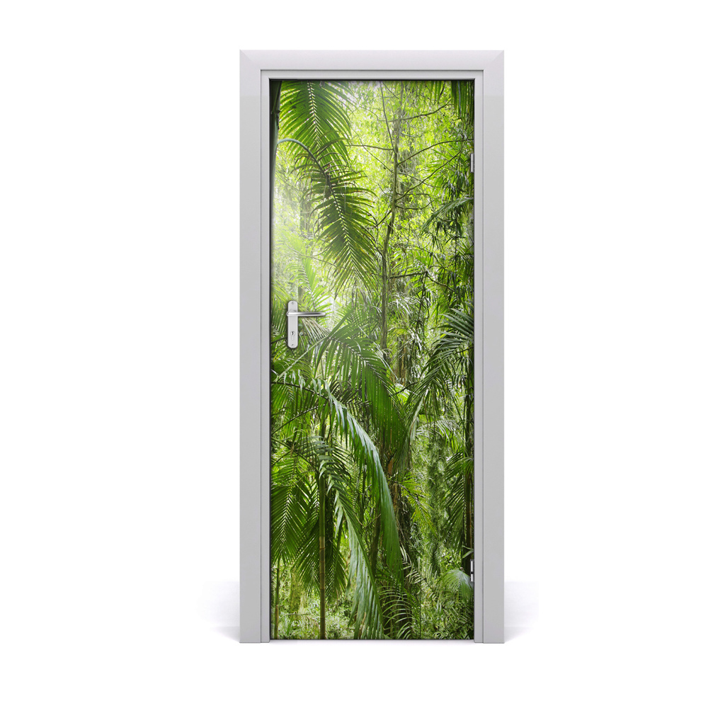 Naklejka fototapeta na drzwi Las deszczowy palmy