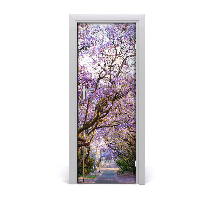 Naklejka fototapeta na drzwi Ścieżka z drzewkami Jakarandy