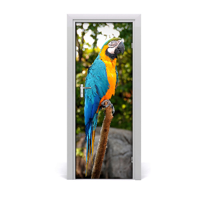 Naklejka samoprzylepna na drzwi Papuga Ara