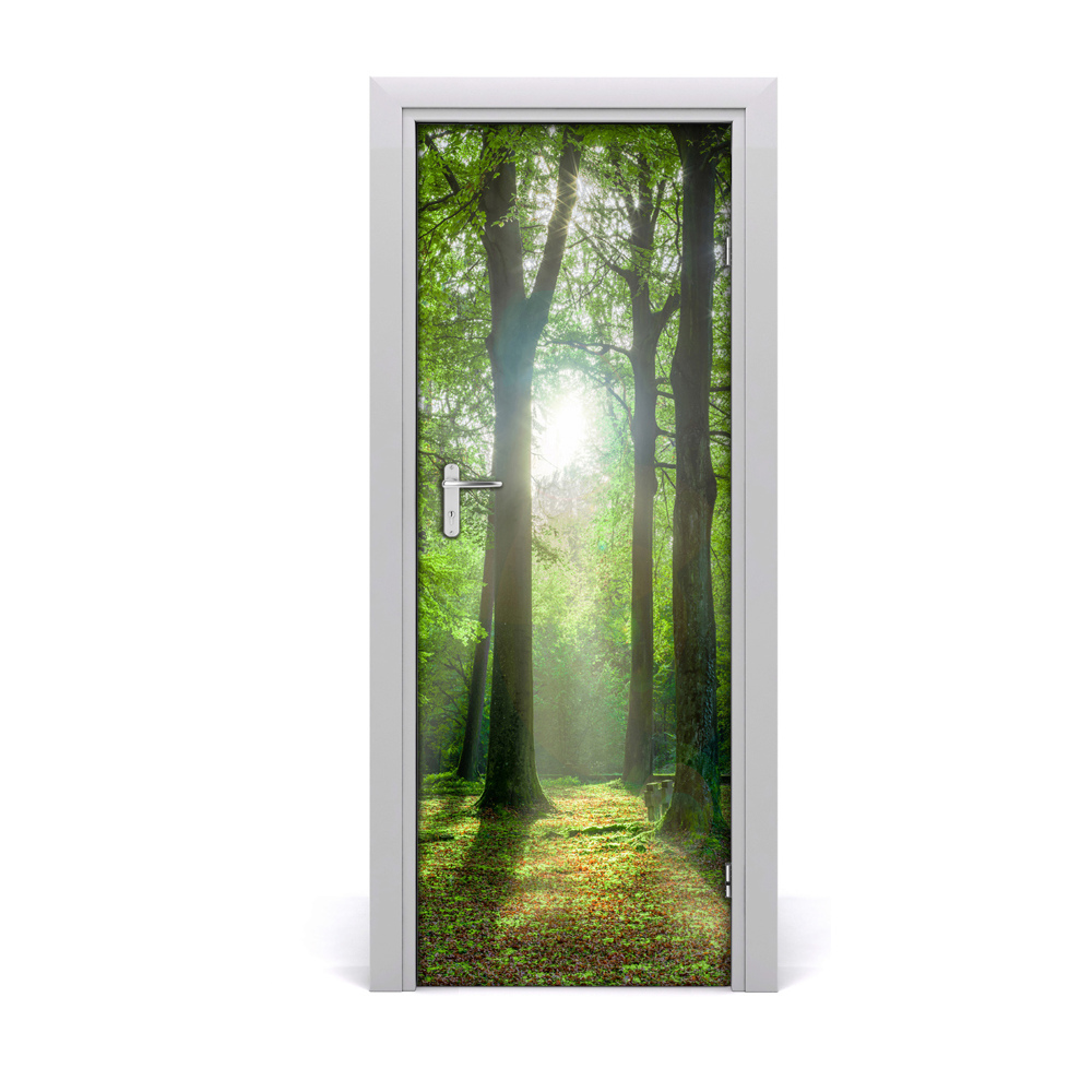 Naklejka fototapeta na drzwi Słońce w lesie