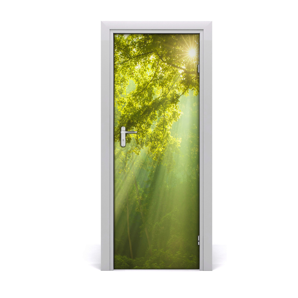 Naklejka fototapeta na drzwi Słońce w młodym lesie