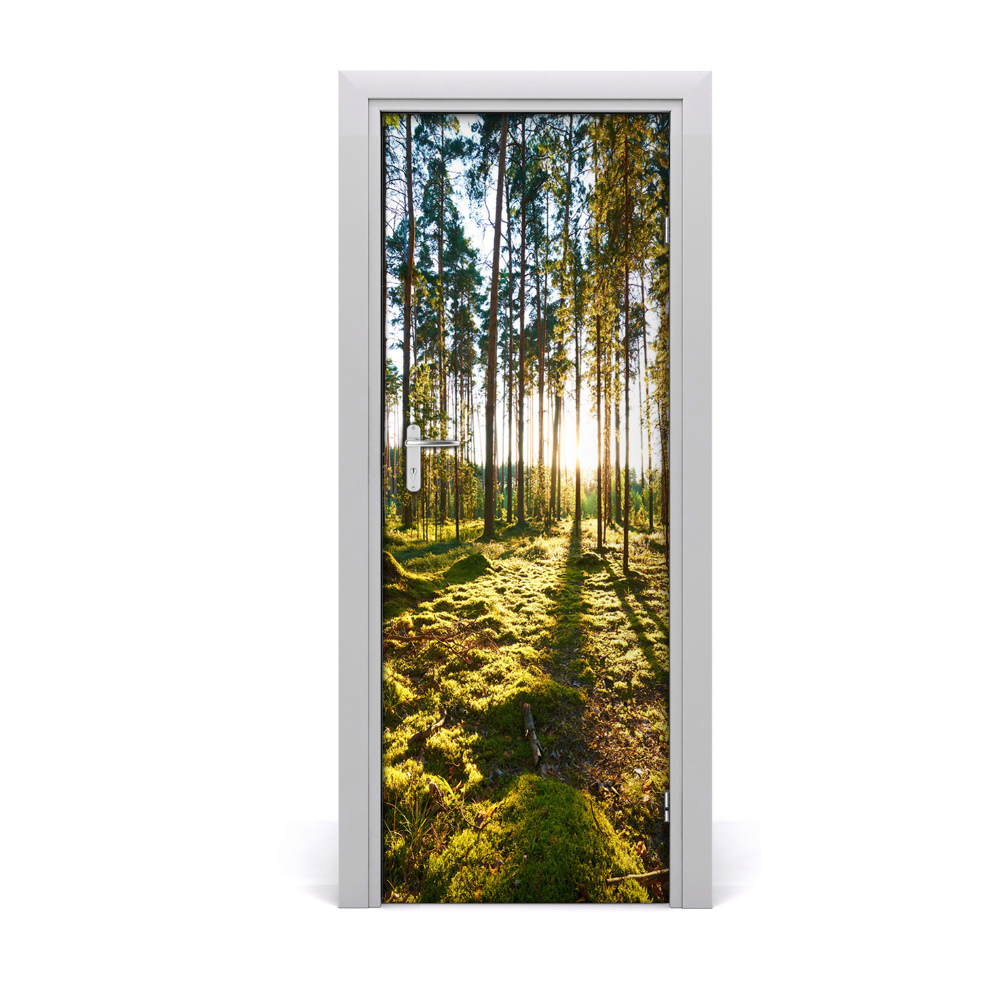 Naklejka fototapeta na drzwi Promienie słońca w drzewach