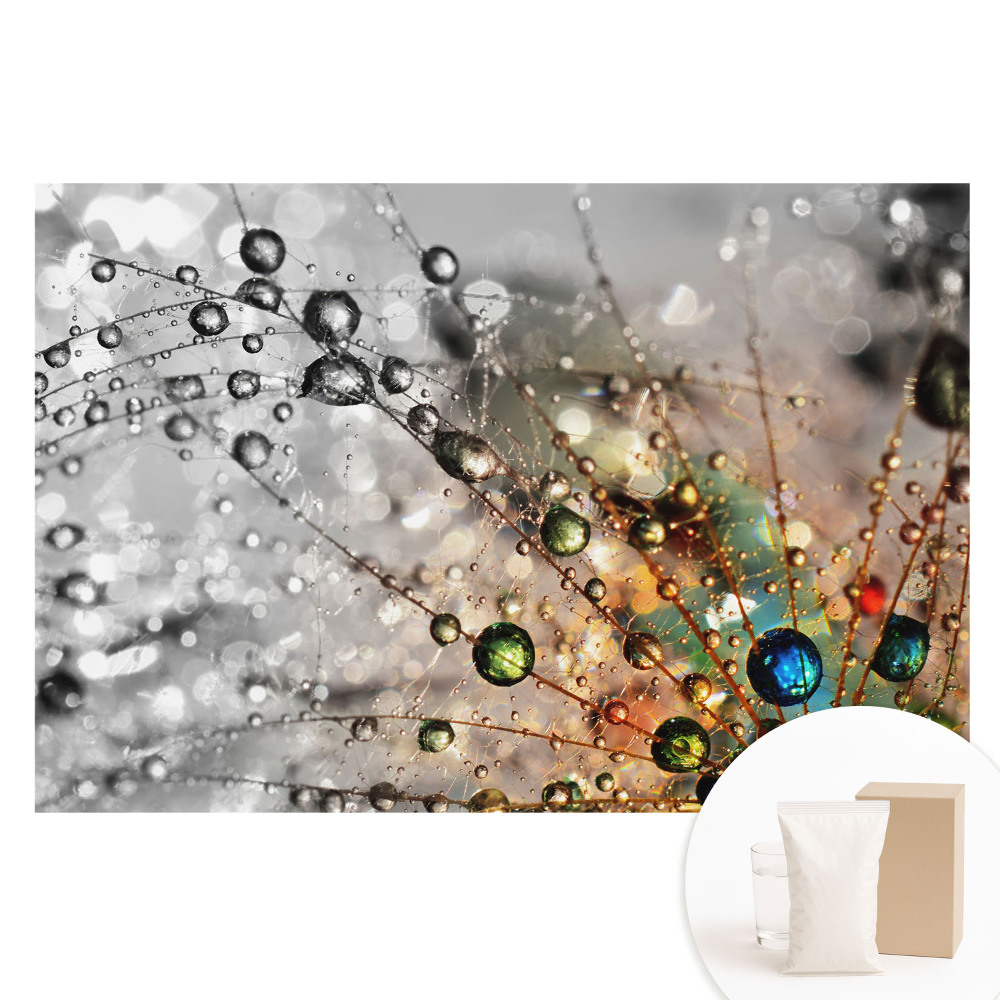 Fototapeta flizelinowa z nadrukiem Kolory kropli na pajęczynie