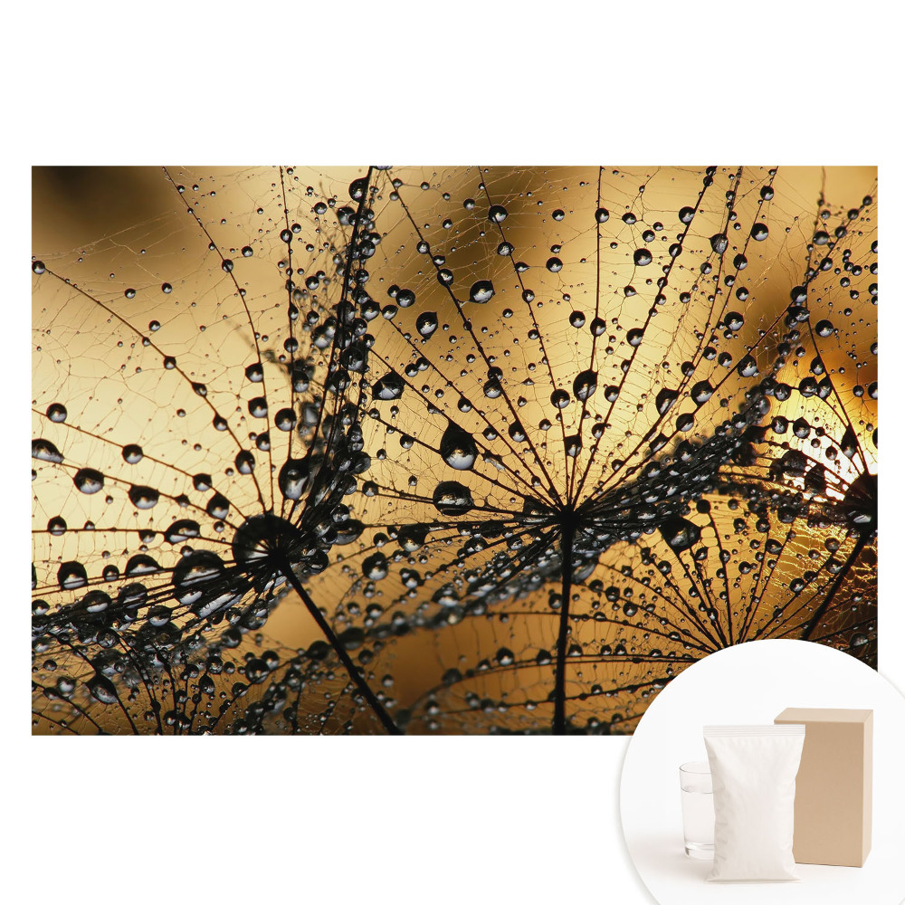 Duża fototapeta na ścianę Eleganckie krople na sieci w świetle