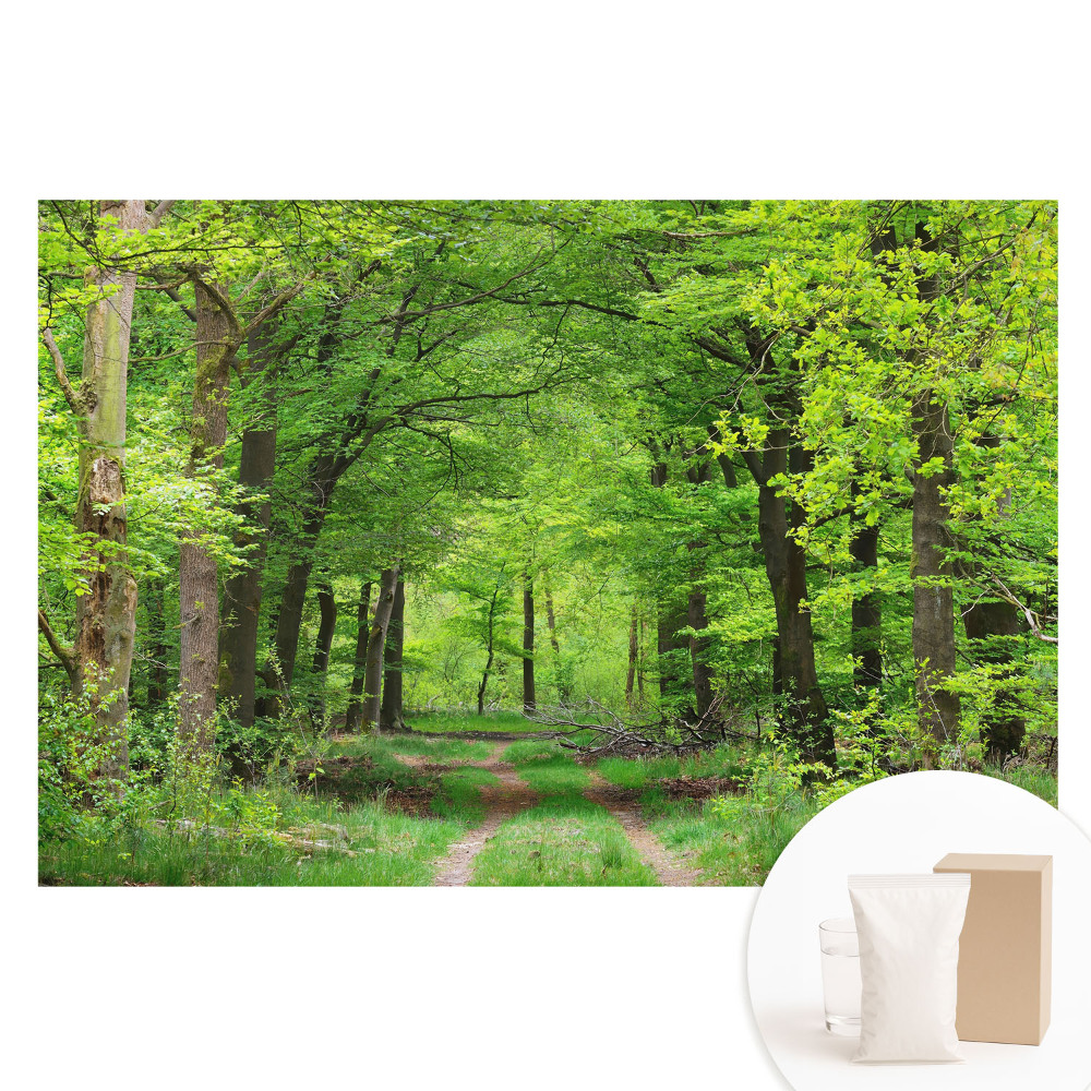 Duża fototapeta na ścianę Zielona leśna harmonijna sceneria