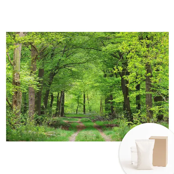 Duża fototapeta na ścianę z harmonijną scenerią zielonego lasu