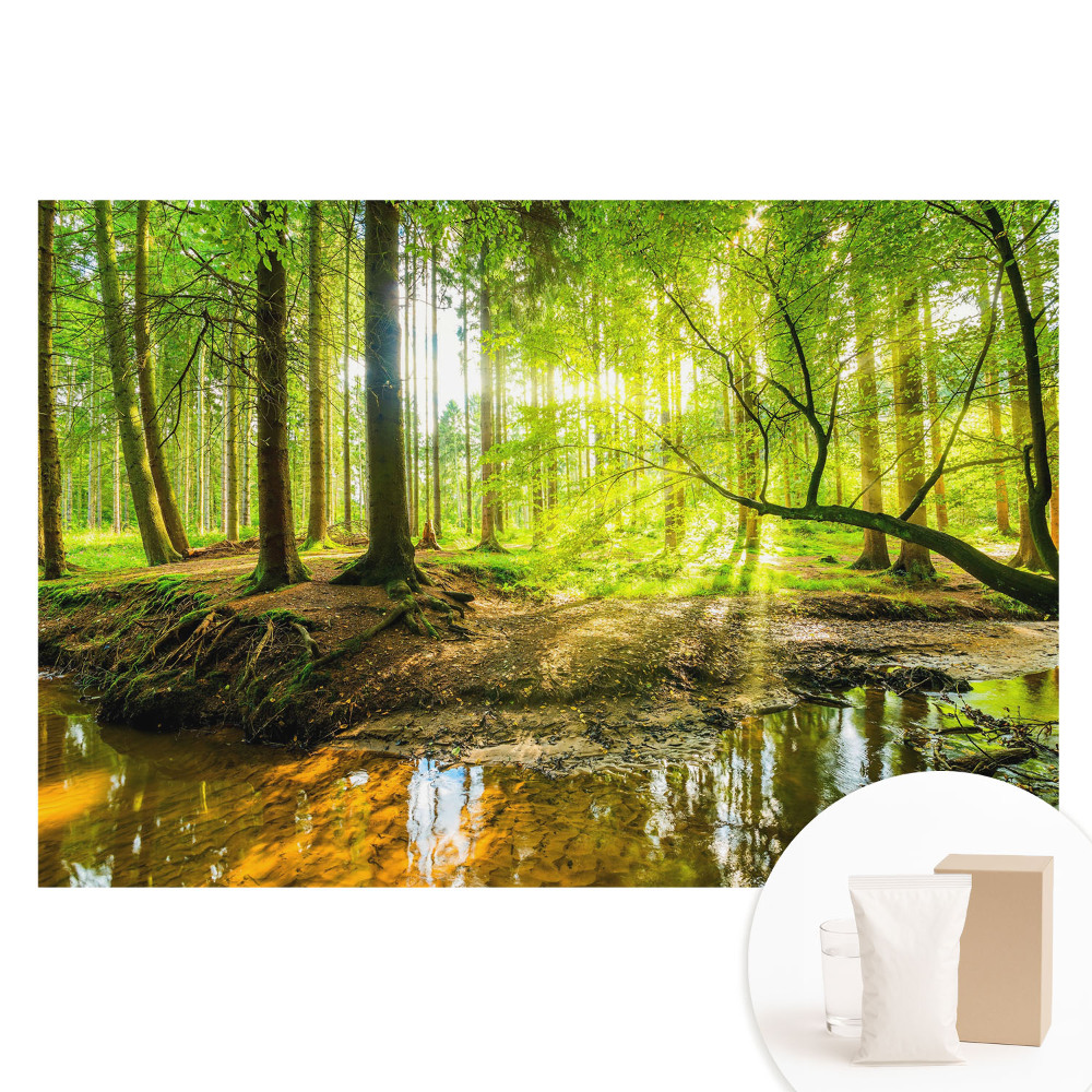 Fototapeta z nadrukiem na flizelinie Leśny spokój światło strumyk