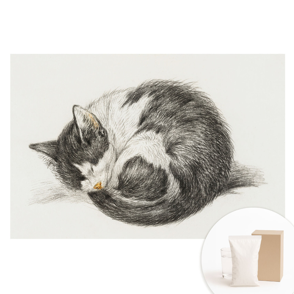 Fototapeta na flizelinie Śpiący kotek ilustracja centralna