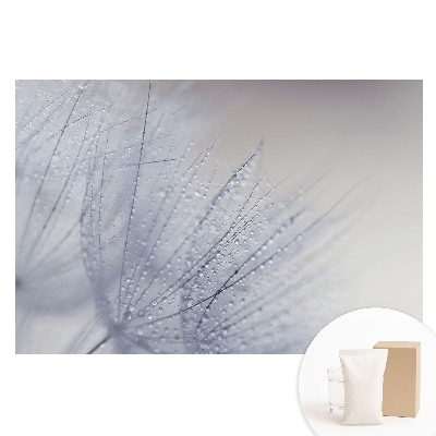 Fototapeta flizelinowa Makro kropel na włóknach dmuchawca