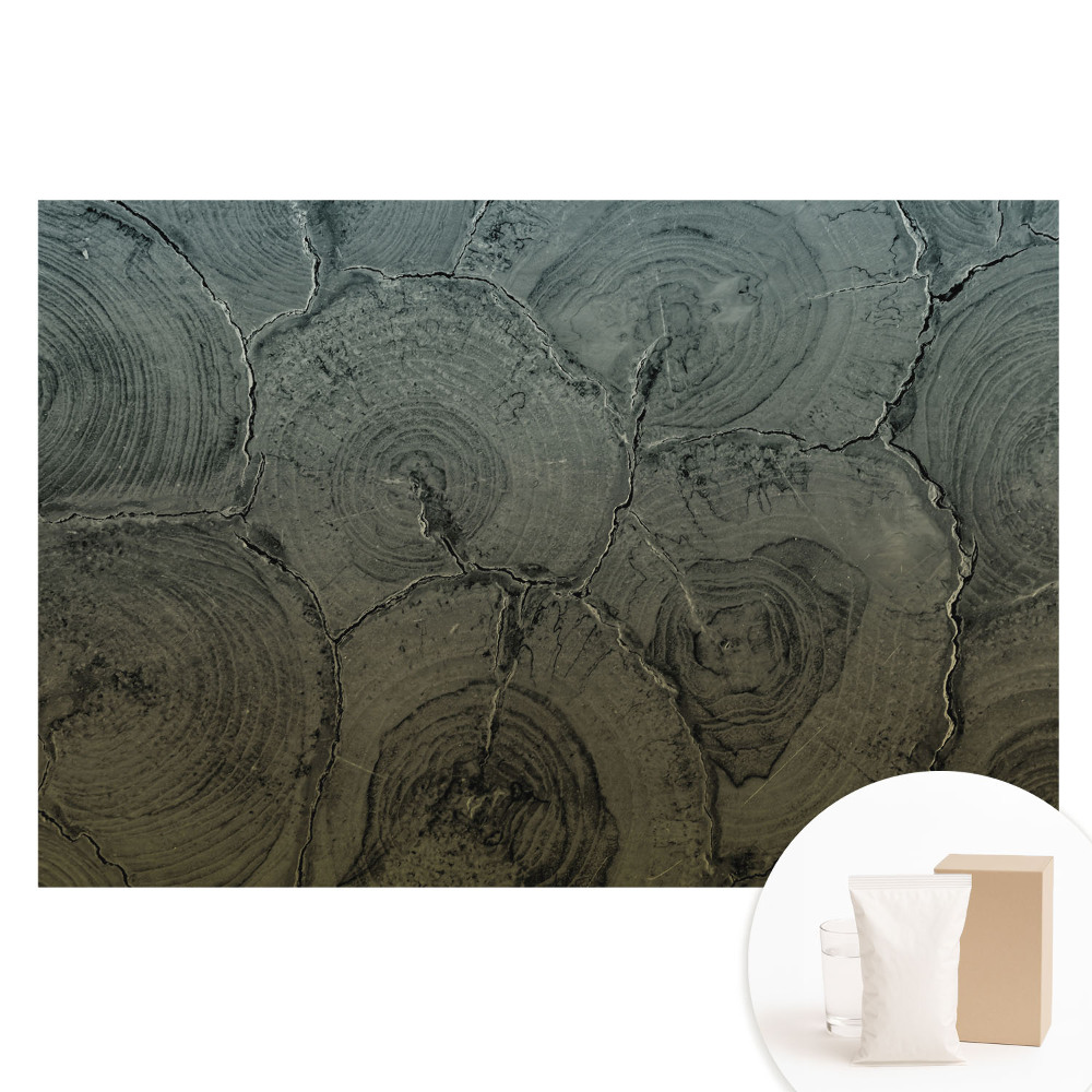 Duża fototapeta na ścianę Szare słoje drewna klasyczny wzór