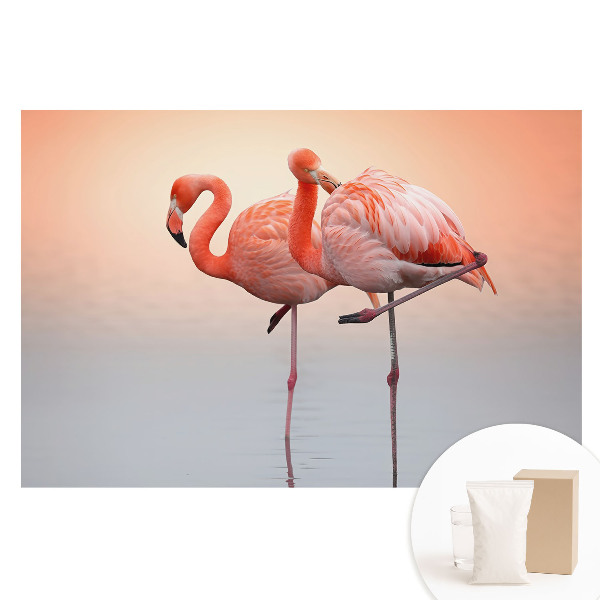 Tapeta fotograficzna flizelinowa Flamingi na pastelowym tle