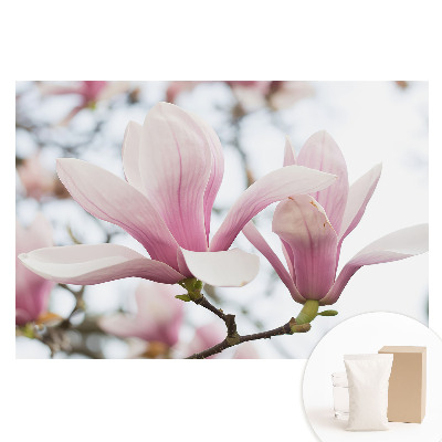 Fototapeta flizelinowa z nadrukiem Różowe magnolie natura romantyczna