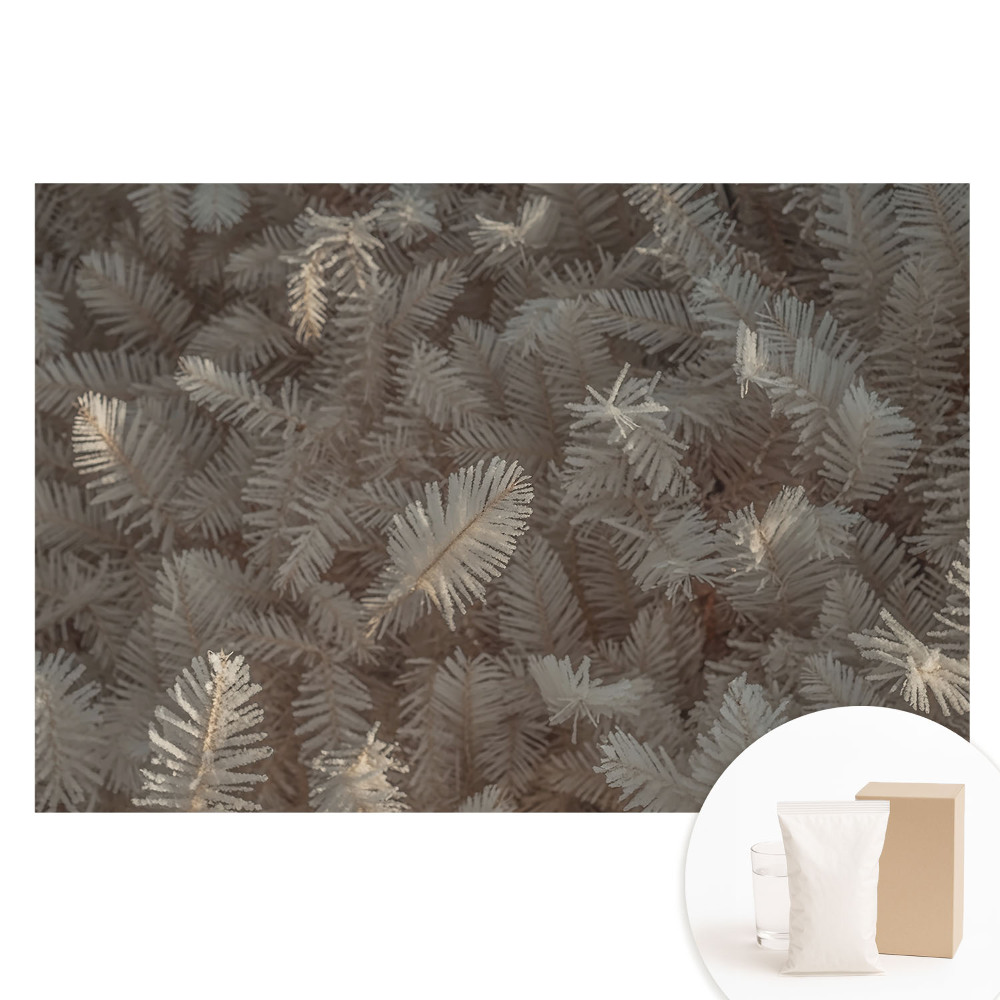 Tapeta fotograficzna flizelinowa Szron na roślinach i delikatny blask