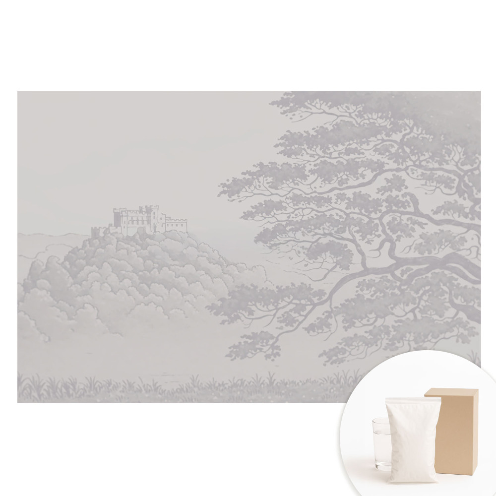 Fototapeta na flizelinie Krajobraz zamku wśród drzew