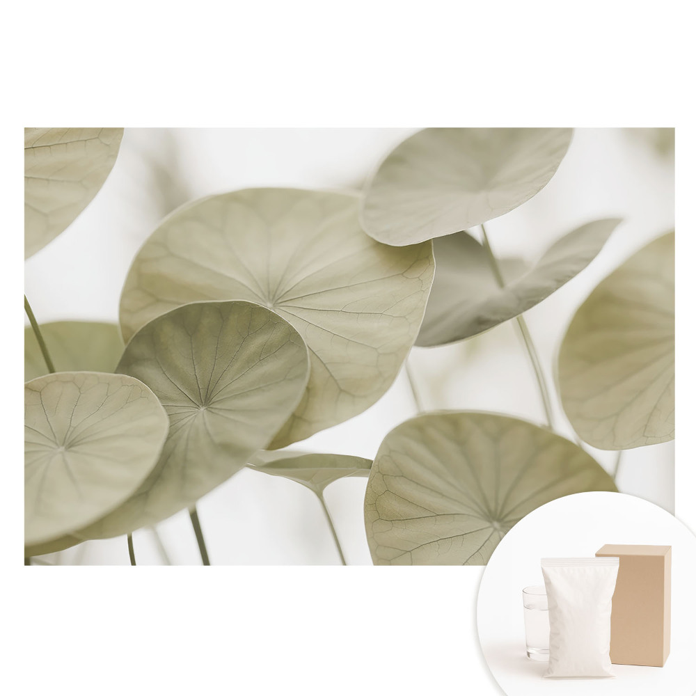 Fototapeta flizelinowa z nadrukiem Liście w minimalistycznym stylu