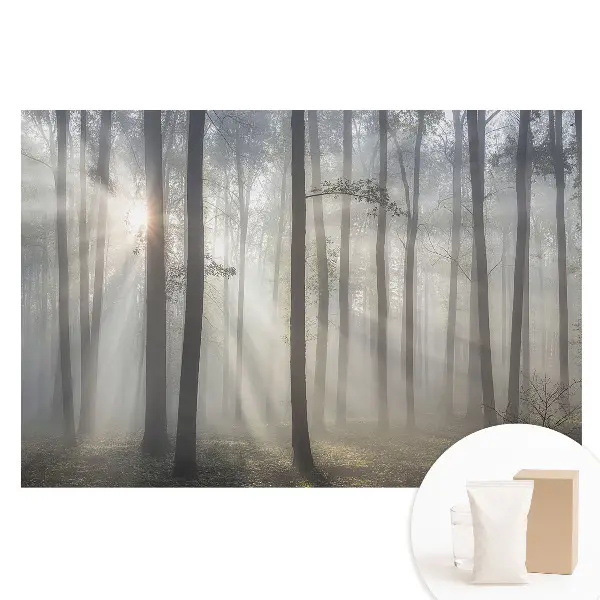 Duża fototapeta na ścianę Poranny spokój wśród drzew