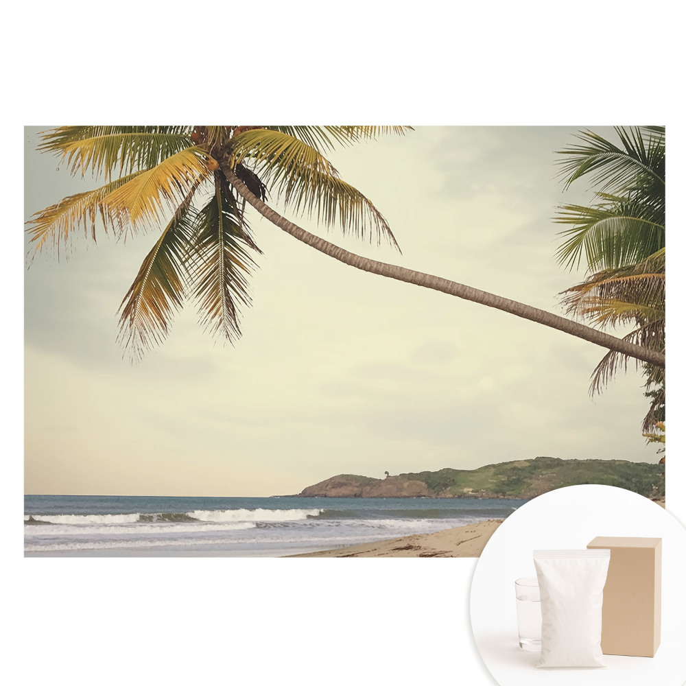 Fototapeta na flizelinie Palma i plaża egzotyczna