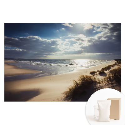Fototapeta flizelinowa Plaża natura niebo zen