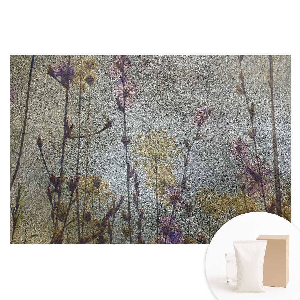 Fototapeta na flizelinie Eteryczne kwiaty polne