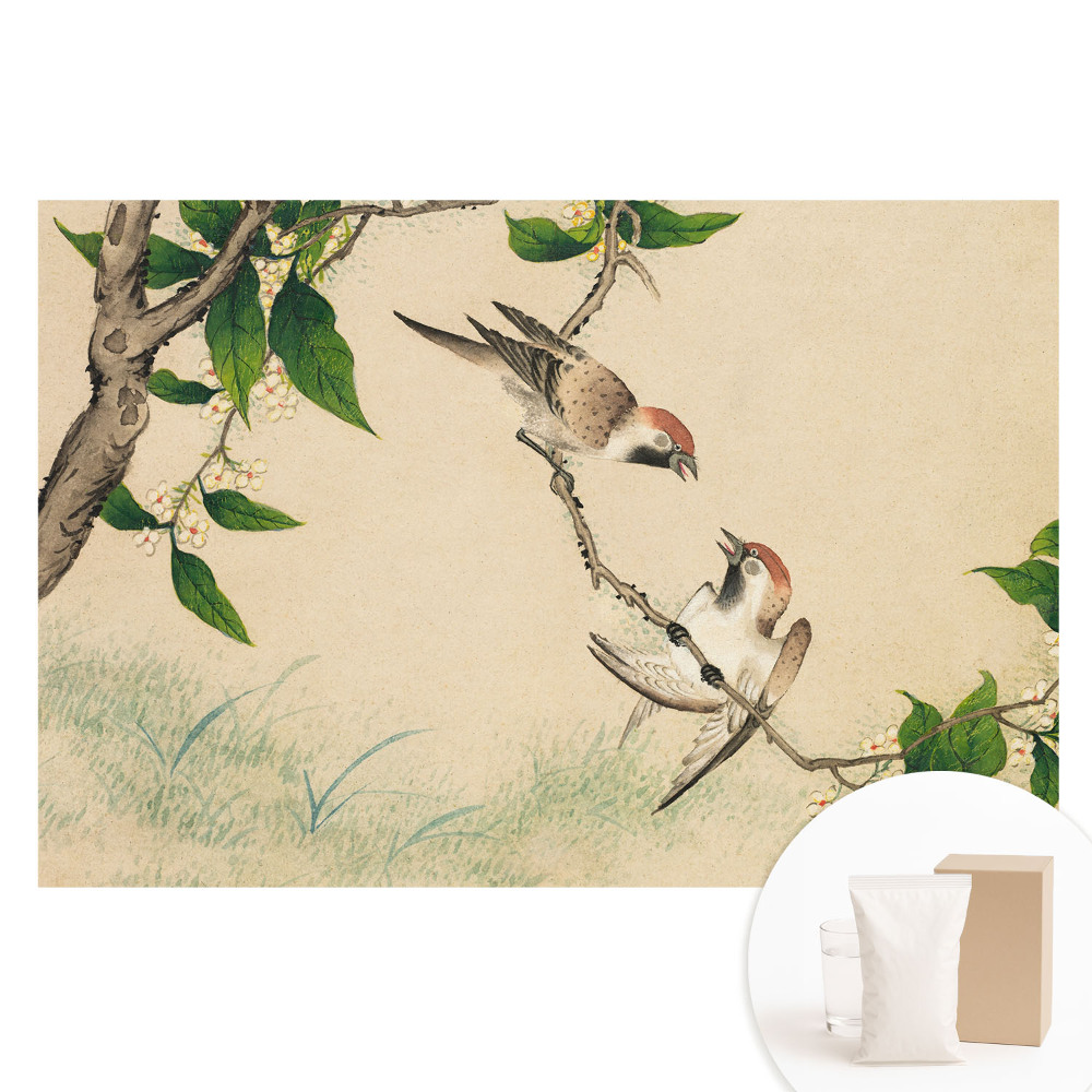 Fototapeta flizelinowa z nadrukiem Ptaki na gałęzi w klasycznym stylu