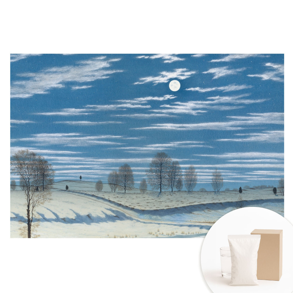 Fototapeta flizelinowa Nastrojowy zimowy krajobraz pod księżycem