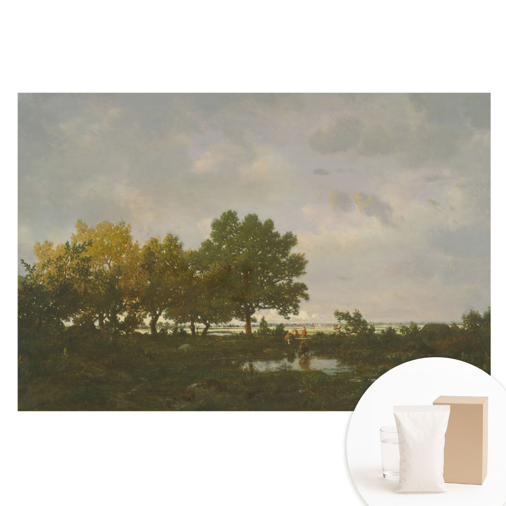 Tapeta fotograficzna flizelinowa Malowniczy las z jeźdźcem