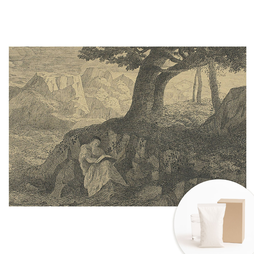 Fototapeta flizelinowa Nastrojowy krajobraz czytający pod drzewem