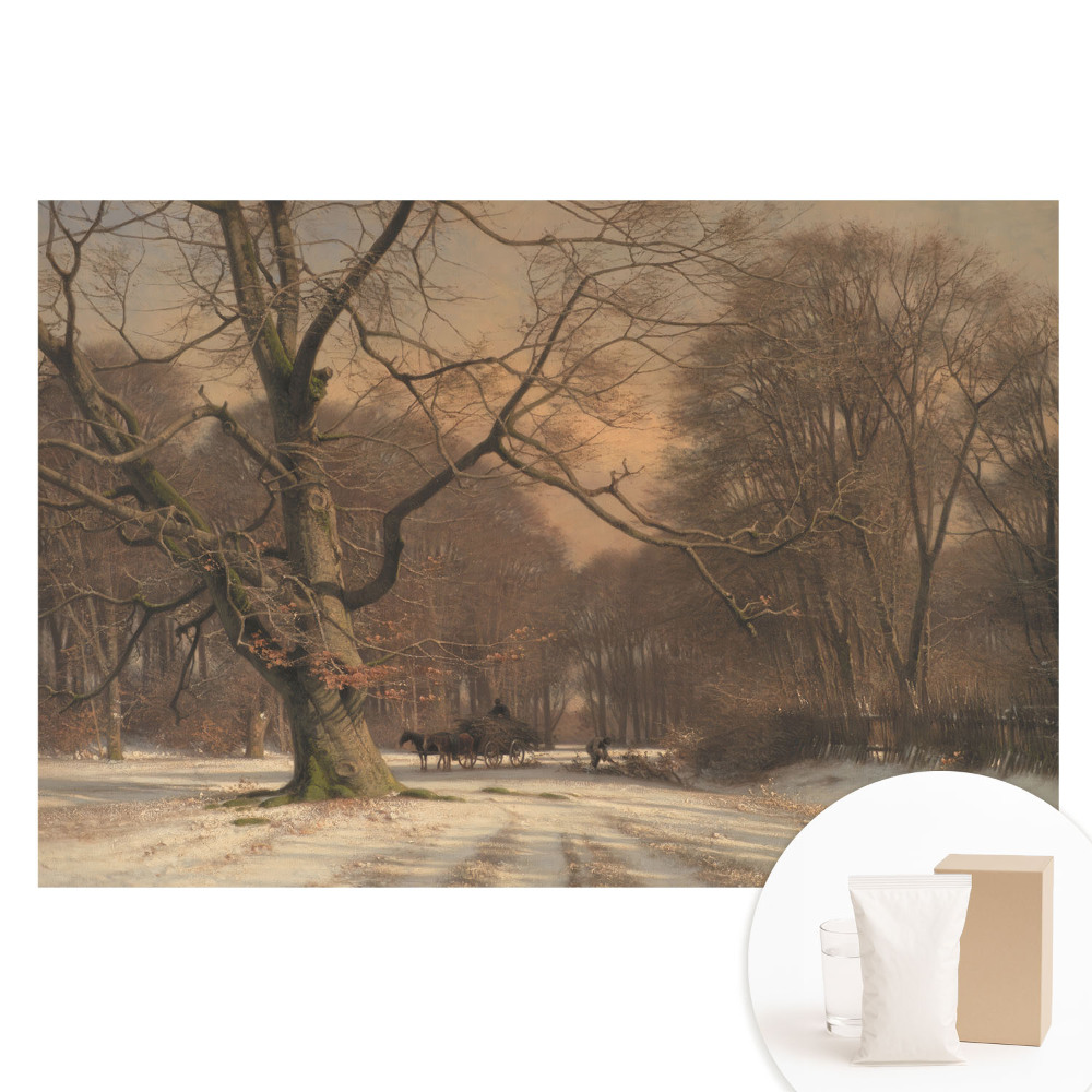 Fototapeta flizelinowa Zimowy las spokój natura