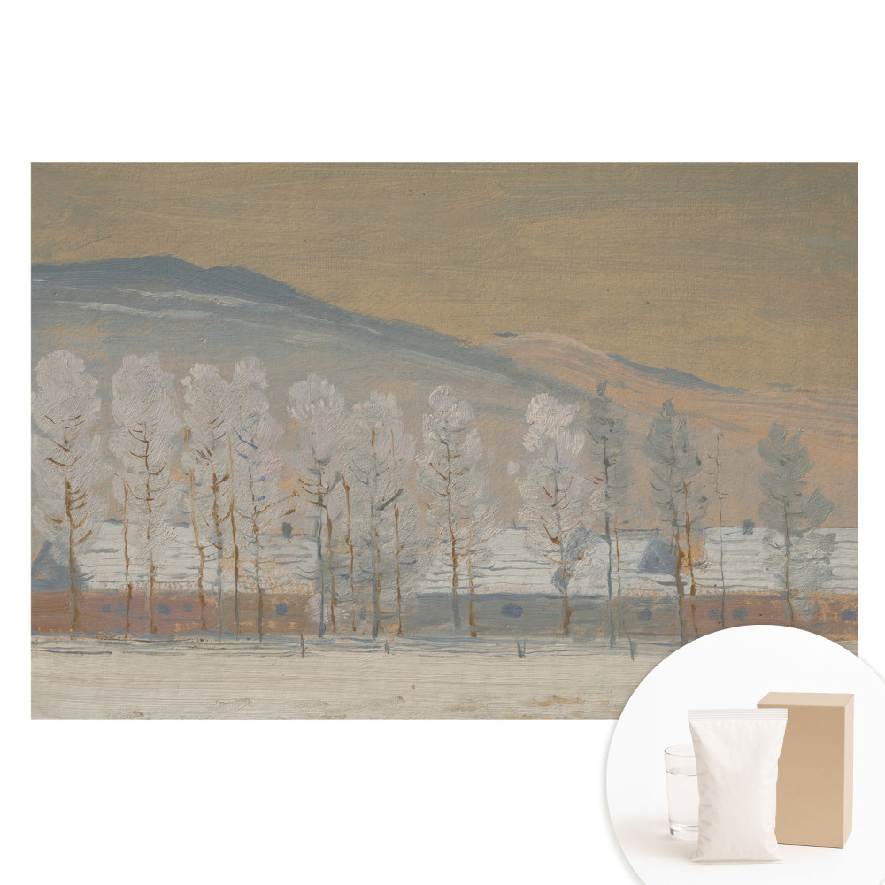 Fototapeta flizelinowa Zimowy pejzaż górski malownicze chaty