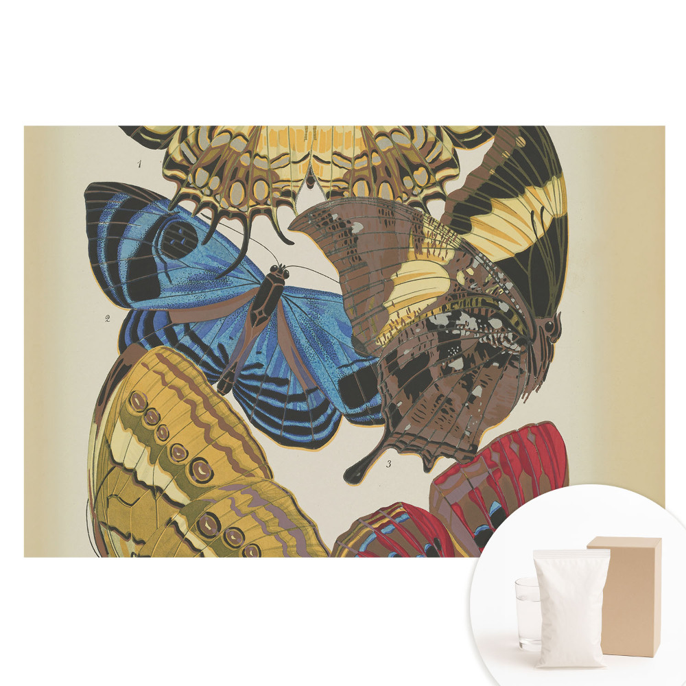 Duża fototapeta na ścianę Kolorowe motyle w eleganckiej kompozycji