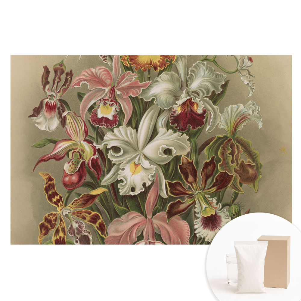 Fototapeta na flizelinie Egzotyczne kwiaty harmonia natury