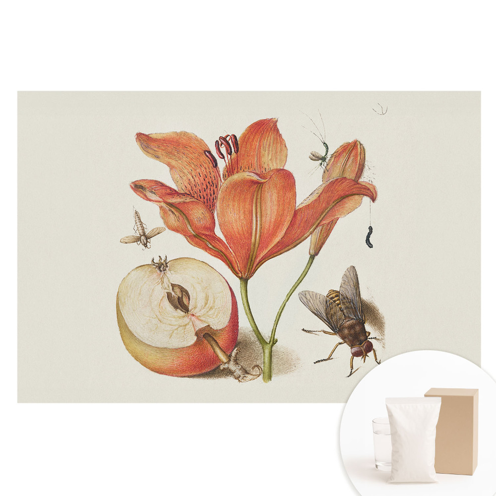 Fototapeta flizelinowa Kwiaty owady owoce harmonia natury