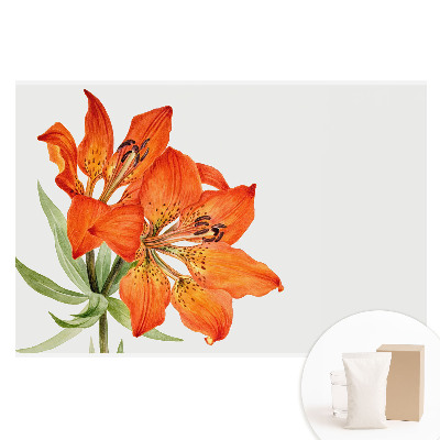 Fototapeta na flizelinie Pomarańczowa lilia subtelnie klasyczna