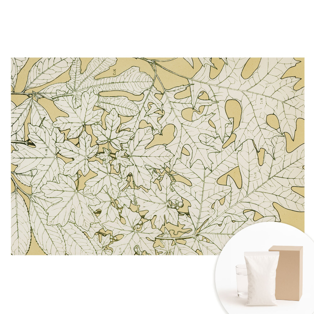 Fototapeta z nadrukiem na flizelinie Rysunek botaniczny liści drzewa