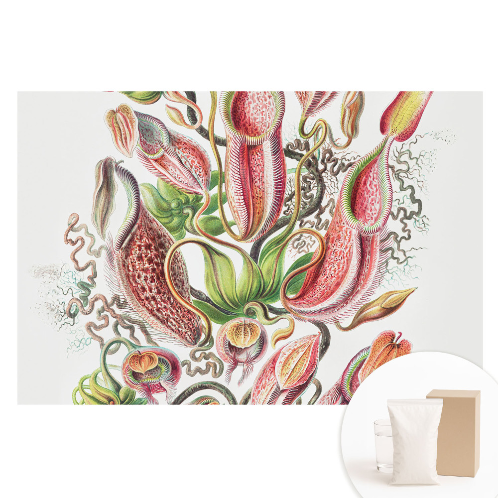 Fototapeta z nadrukiem na flizelinie Egzotyczne rośliny owadożerne