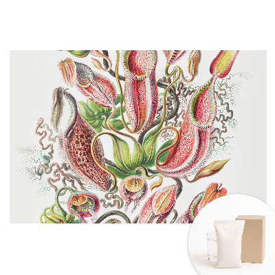 Fototapeta z nadrukiem na flizelinie Egzotyczne rośliny owadożerne