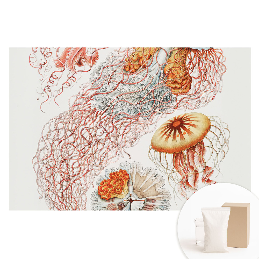 Fototapeta flizelinowa z nadrukiem Artystyczne meduzy z detalami