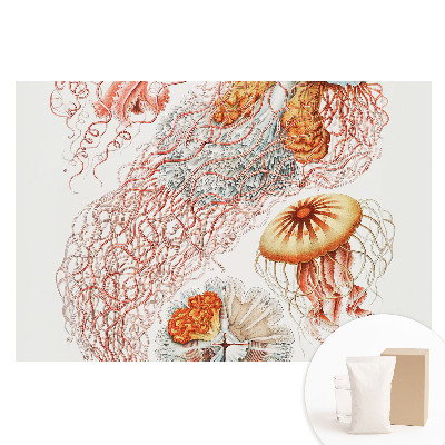 Fototapeta flizelinowa z nadrukiem Artystyczne meduzy z detalami