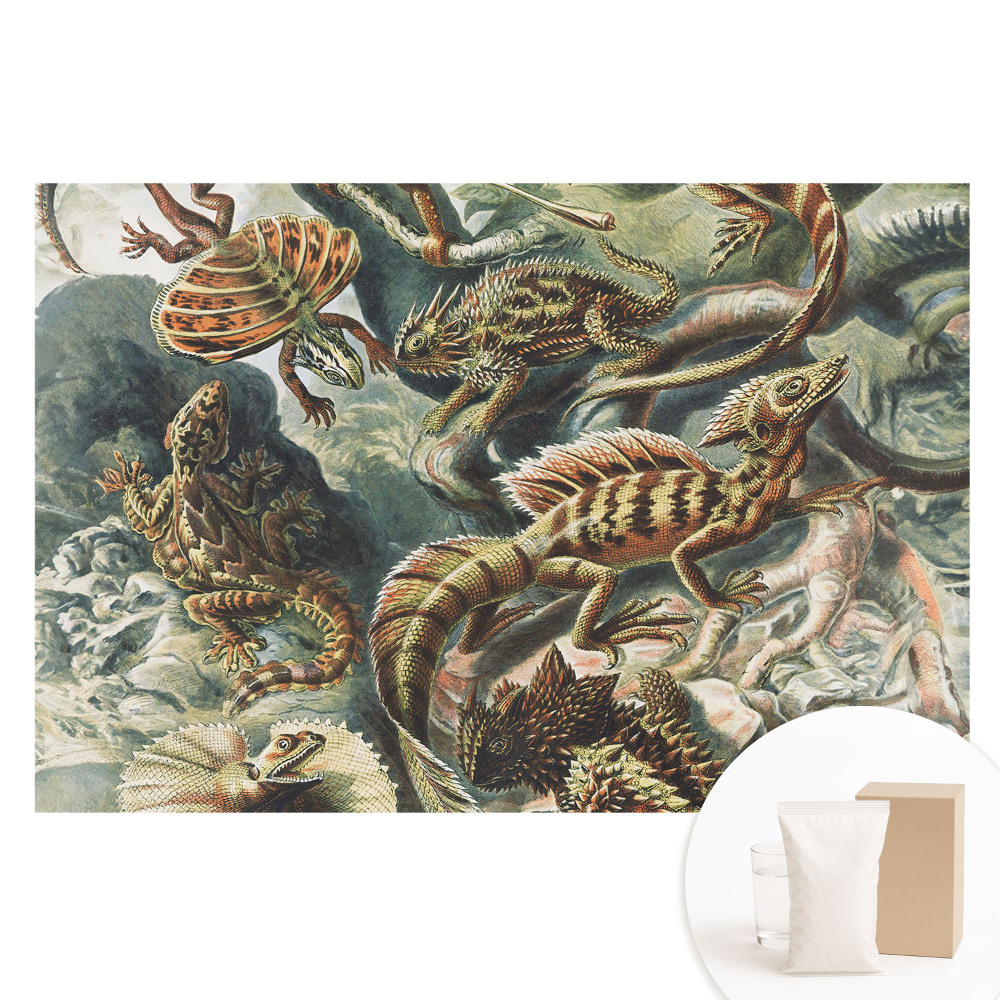 Tapeta fotograficzna na flizelinie Bajeczne jaszczurki wzorzysta natura