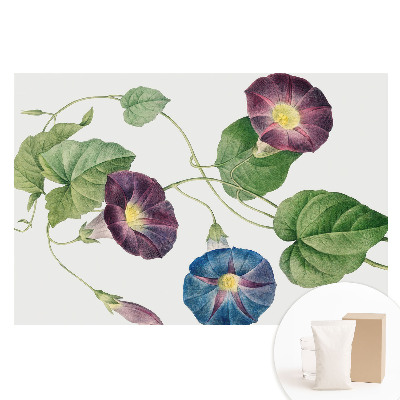 Fototapeta flizelinowa Delikatne kwiatowe motywy botaniczne