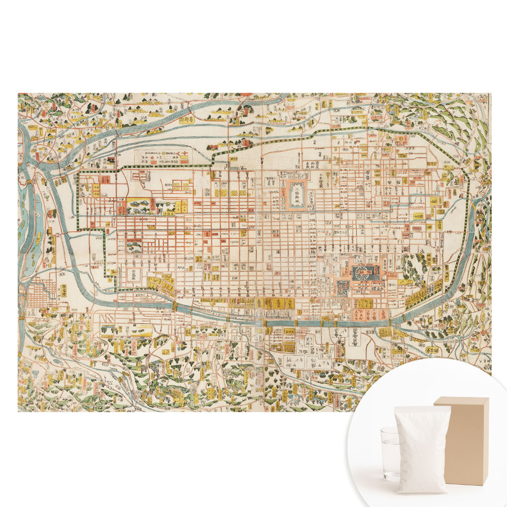 Fototapeta flizelinowa z nadrukiem Historyczna mapa miasta z detalami ulic