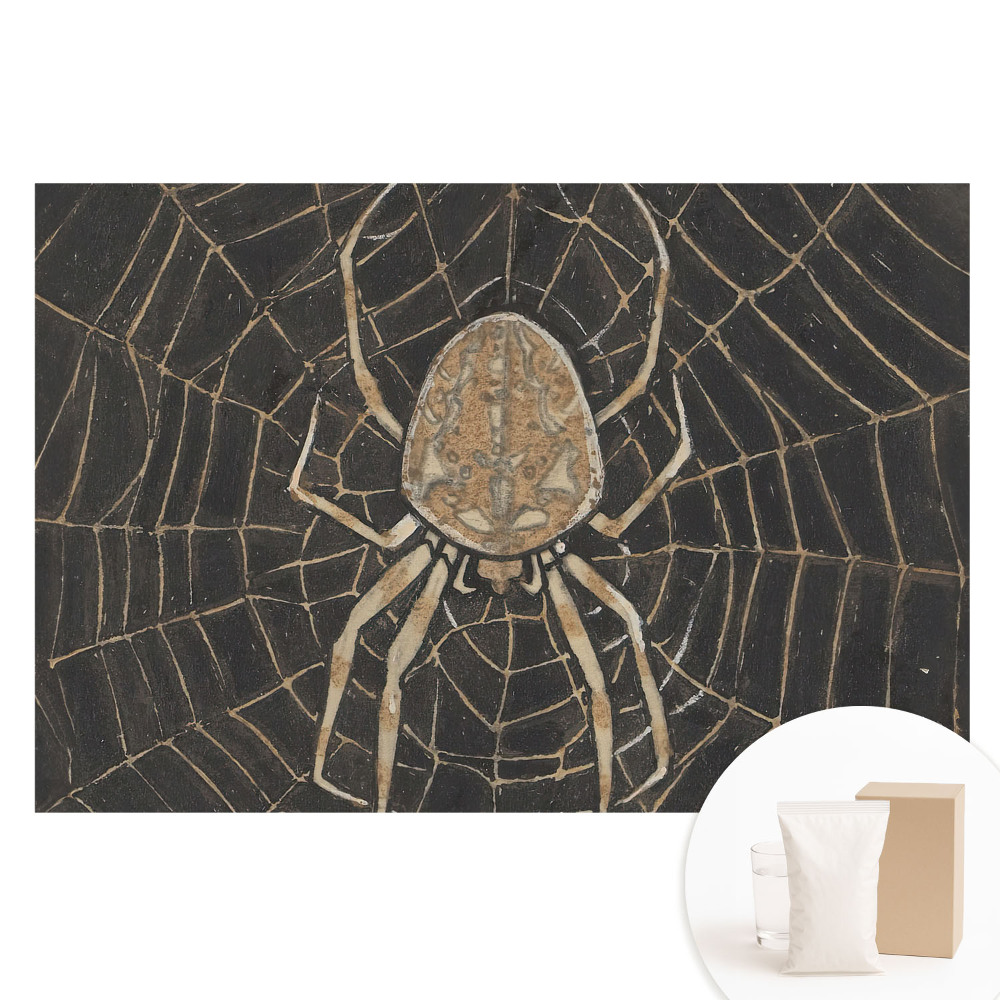 Tapeta fotograficzna na flizelinie Pająk w sieci symetryczna klasyka