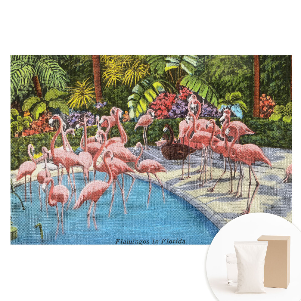 Fototapeta flizelinowa Flamingi przy basenie