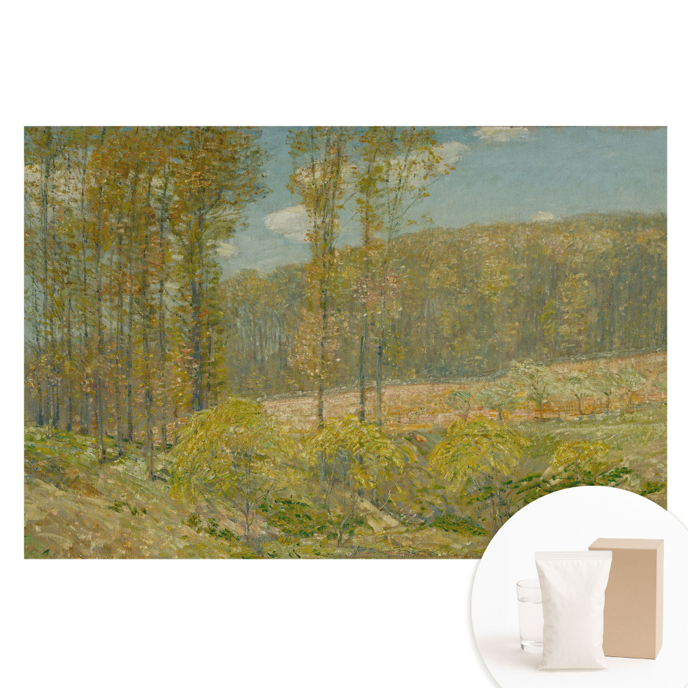 Duża fototapeta na ścianę Naturalny krajobraz w harmonijnym stylu