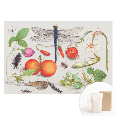 Fototapeta flizelinowa Botaniczny kolaż z owadami