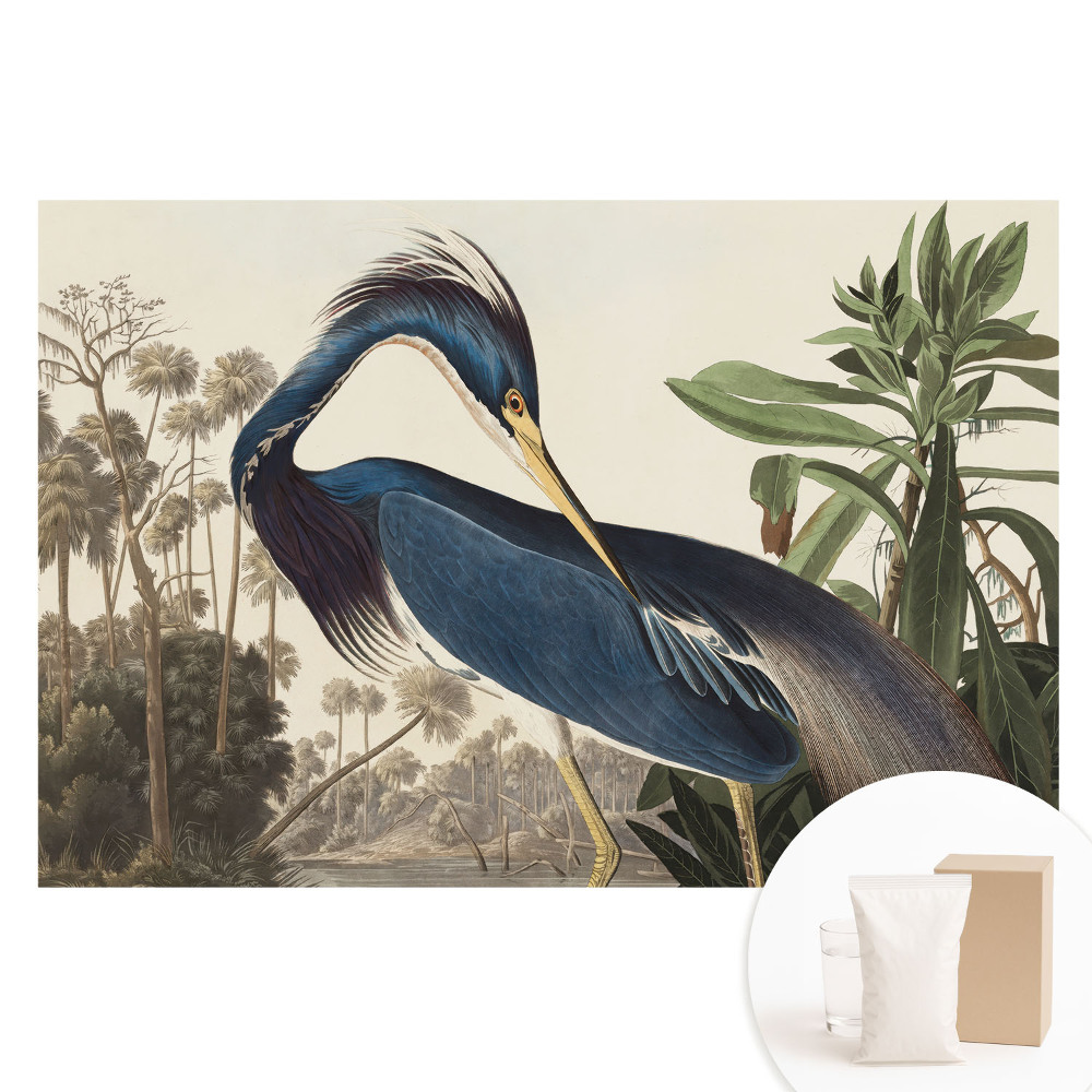 Tapeta fotograficzna flizelinowa Egzotyczny ptak na tle roślinności