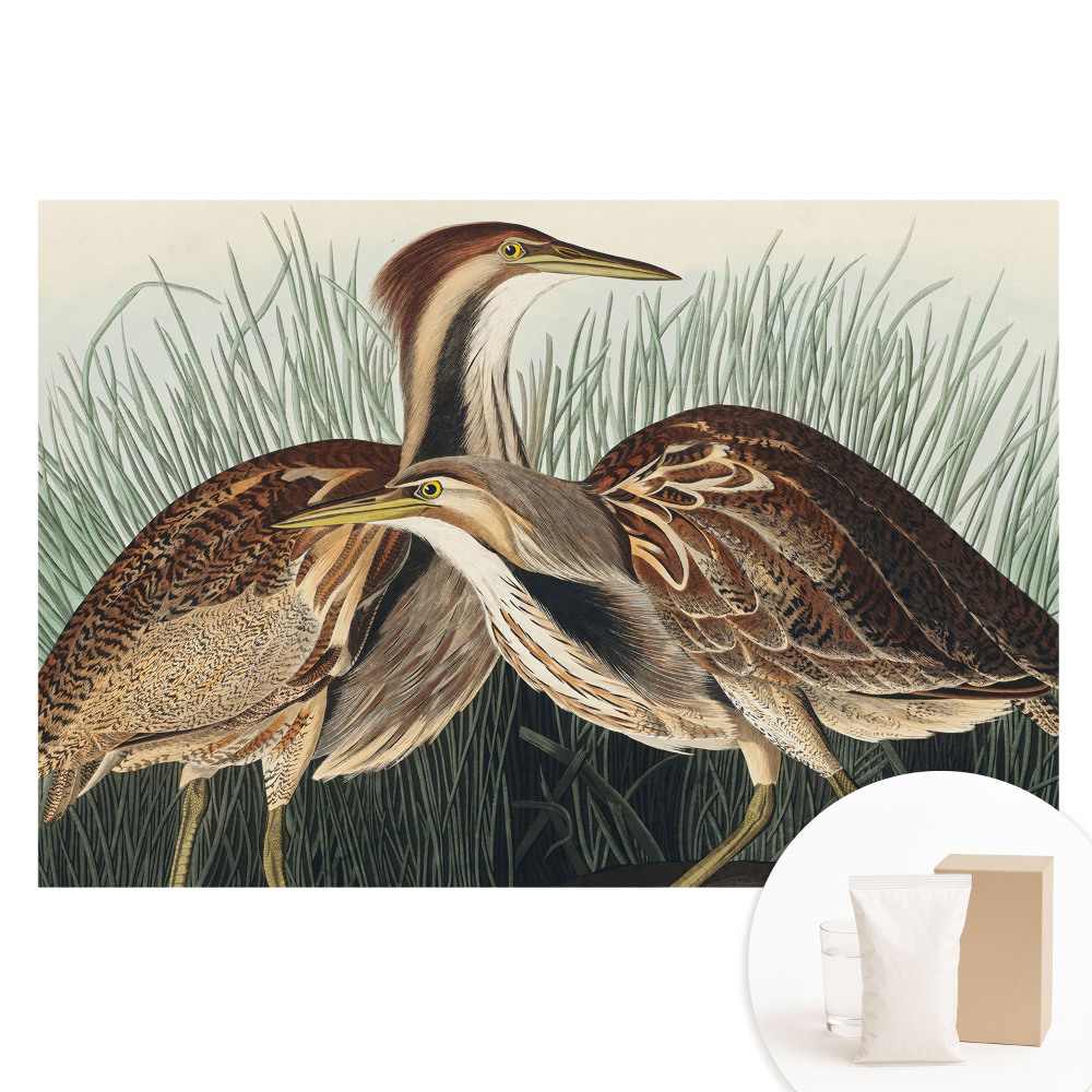 Duża fototapeta na ścianę Ptaki w trawie klasyczna symetria realizmu